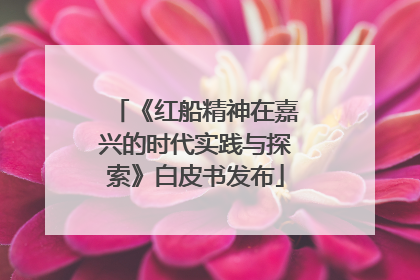 《红船精神在嘉兴的时代实践与探索》白皮书发布