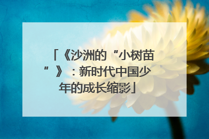 《沙洲的“小树苗”》：新时代中国少年的成长缩影