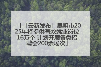 「云新发布」昆明市2025年将提供有效就业岗位16万个 计划开展各类招聘会200余场次