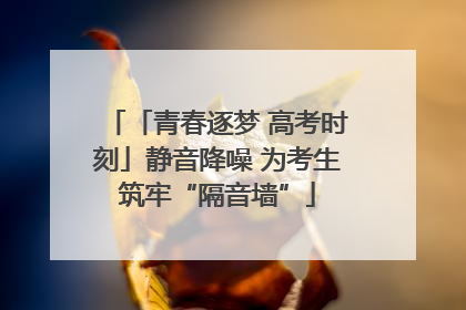 「青春逐梦 高考时刻」静音降噪 为考生筑牢“隔音墙”
