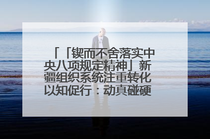 「锲而不舍落实中央八项规定精神」新疆组织系统注重转化以知促行：动真碰硬抓好整改整治