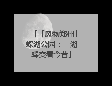 「风物郑州」蝶湖公园：一湖蝶变看今昔