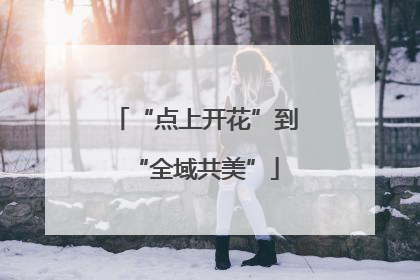 “点上开花”到“全域共美”
