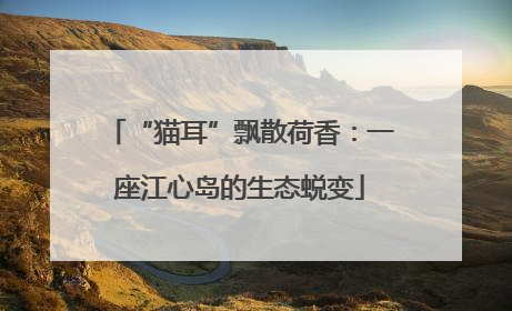 “猫耳”飘散荷香：一座江心岛的生态蜕变