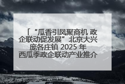 “瓜香引凤聚商机 政企联动促发展”北京大兴庞各庄镇 2025 年西瓜季政企联动产业推介活动圆满举行