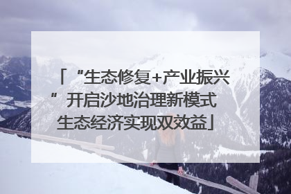 “生态修复+产业振兴”开启沙地治理新模式 生态经济实现双效益