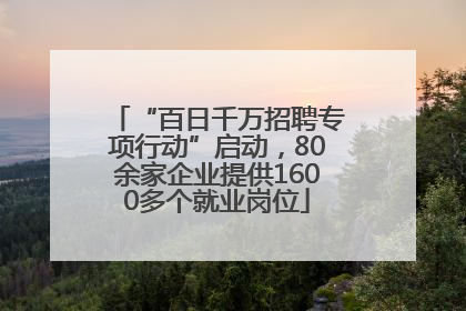 “百日千万招聘专项行动”启动，80余家企业提供1600多个就业岗位