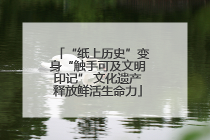 “纸上历史”变身“触手可及文明印记” 文化遗产释放鲜活生命力