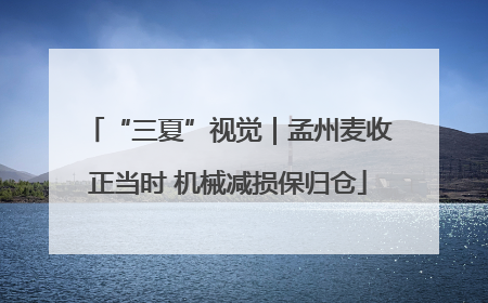 “三夏”视觉｜孟州麦收正当时 机械减损保归仓