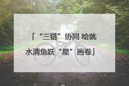 “三链”协同 绘就水清鱼跃“星”画卷