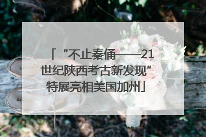 “不止秦俑——21世纪陕西考古新发现”特展亮相美国加州