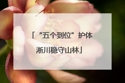 “五个到位”护体 淅川稳守山林