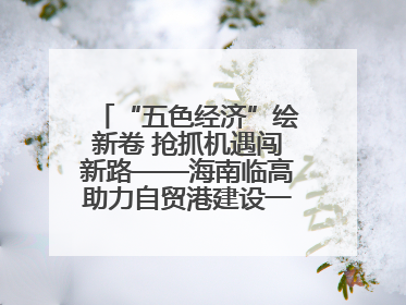 “五色经济”绘新卷 抢抓机遇闯新路——海南临高助力自贸港建设一线见闻