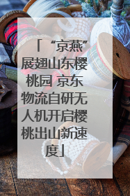 “京燕”展翅山东樱桃园 京东物流自研无人机开启樱桃出山新速度