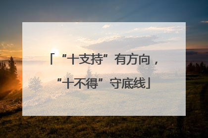 “十支持”有方向，“十不得”守底线