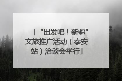 “出发吧！新疆”文旅推广活动（泰安站）洽谈会举行