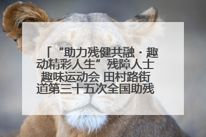 “助力残健共融・趣动精彩人生”残障人士趣味运动会 田村路街道第三十五次全国助残日主题活动圆满举办