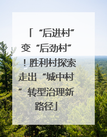“后进村”变“后劲村”！胜利村探索走出“城中村”转型治理新路径