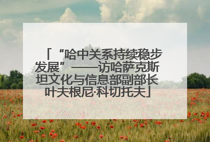 “哈中关系持续稳步发展”——访哈萨克斯坦文化与信息部副部长叶夫根尼·科切托夫