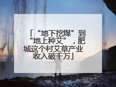 “地下挖煤”到“地上种艾”，肥城这个村艾草产业收入破千万