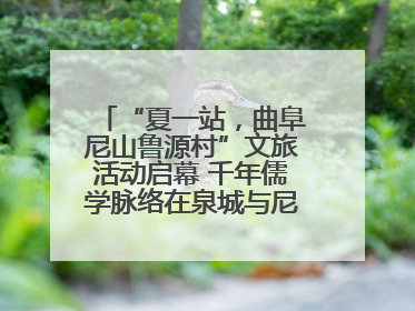 “夏一站，曲阜尼山鲁源村”文旅活动启幕 千年儒学脉络在泉城与尼山间流动