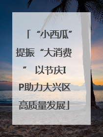“小西瓜”提振“大消费” 以节庆IP助力大兴区高质量发展