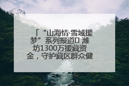“山海情·雪域援梦”系列报道⑪ 潍坊1300万援藏资金，守护藏区群众健康“最后一公里”