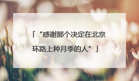 “感谢那个决定在北京环路上种月季的人”