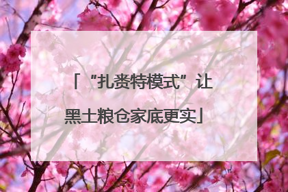 “扎赉特模式”让黑土粮仓家底更实