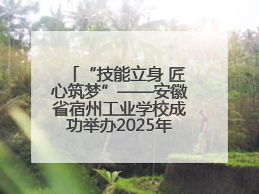 “技能立身 匠心筑梦”——安徽省宿州工业学校成功举办2025年职业技能活动周各项活动