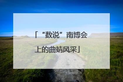 “数说”南博会上的曲靖风采