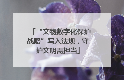 “文物数字化保护战略”写入法规，守护文明需担当