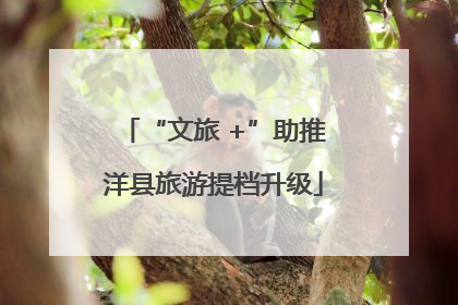 “文旅 +”助推洋县旅游提档升级