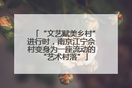 “文艺赋美乡村”进行时，南京江宁佘村变身为一座流动的“艺术村落”