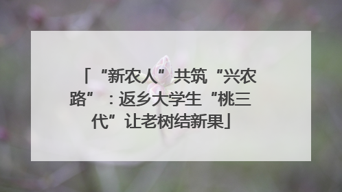 “新农人”共筑“兴农路”：返乡大学生“桃三代”让老树结新果