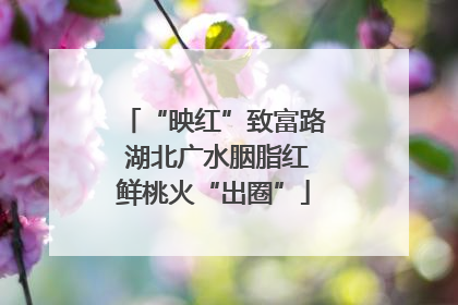 “映红”致富路 湖北广水胭脂红鲜桃火“出圈”