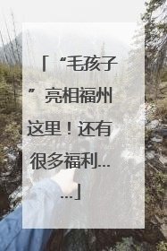 “毛孩子”亮相福州这里！还有很多福利……