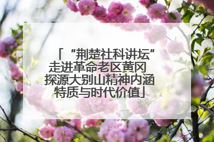 “荆楚社科讲坛”走进革命老区黄冈 探源大别山精神内涵特质与时代价值