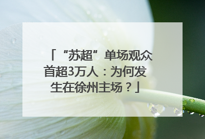 “苏超”单场观众首超3万人：为何发生在徐州主场？
