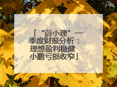 “蔚小理”一季度财报分析：理想盈利稳健 小鹏亏损收窄