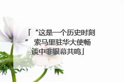 “这是一个历史时刻” 索马里驻华大使畅谈中非银幕共鸣