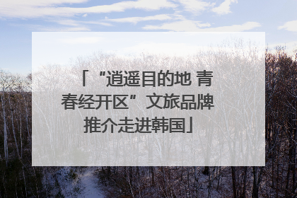 “逍遥目的地 青春经开区”文旅品牌推介走进韩国
