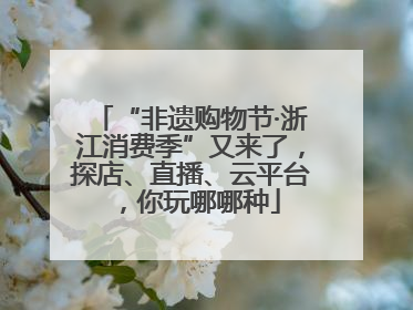 “非遗购物节·浙江消费季”又来了，探店、直播、云平台，你玩哪哪种