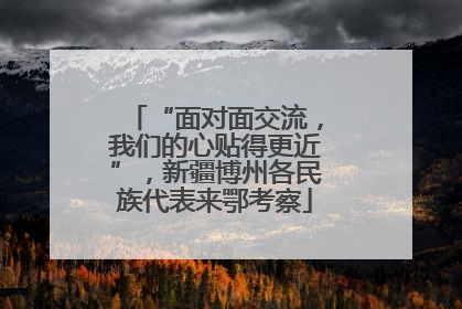 “面对面交流，我们的心贴得更近”，新疆博州各民族代表来鄂考察