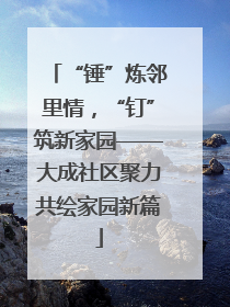 “锤”炼邻里情，“钉”筑新家园——大成社区聚力共绘家园新篇