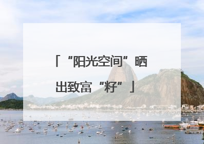 “阳光空间”晒出致富“籽”