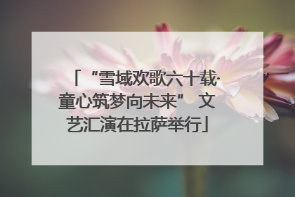 “雪域欢歌六十载·童心筑梦向未来” 文艺汇演在拉萨举行