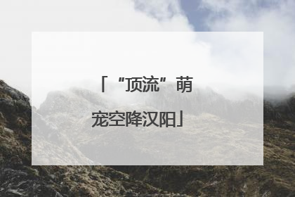 “顶流”萌宠空降汉阳