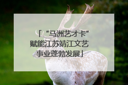 “马洲艺才卡”赋能江苏靖江文艺事业蓬勃发展