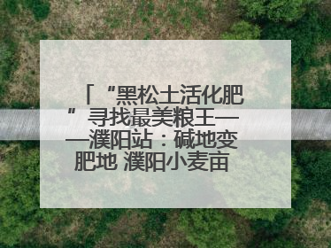 “黑松土活化肥”寻找最美粮王——濮阳站：碱地变肥地 濮阳小麦亩产1500多斤